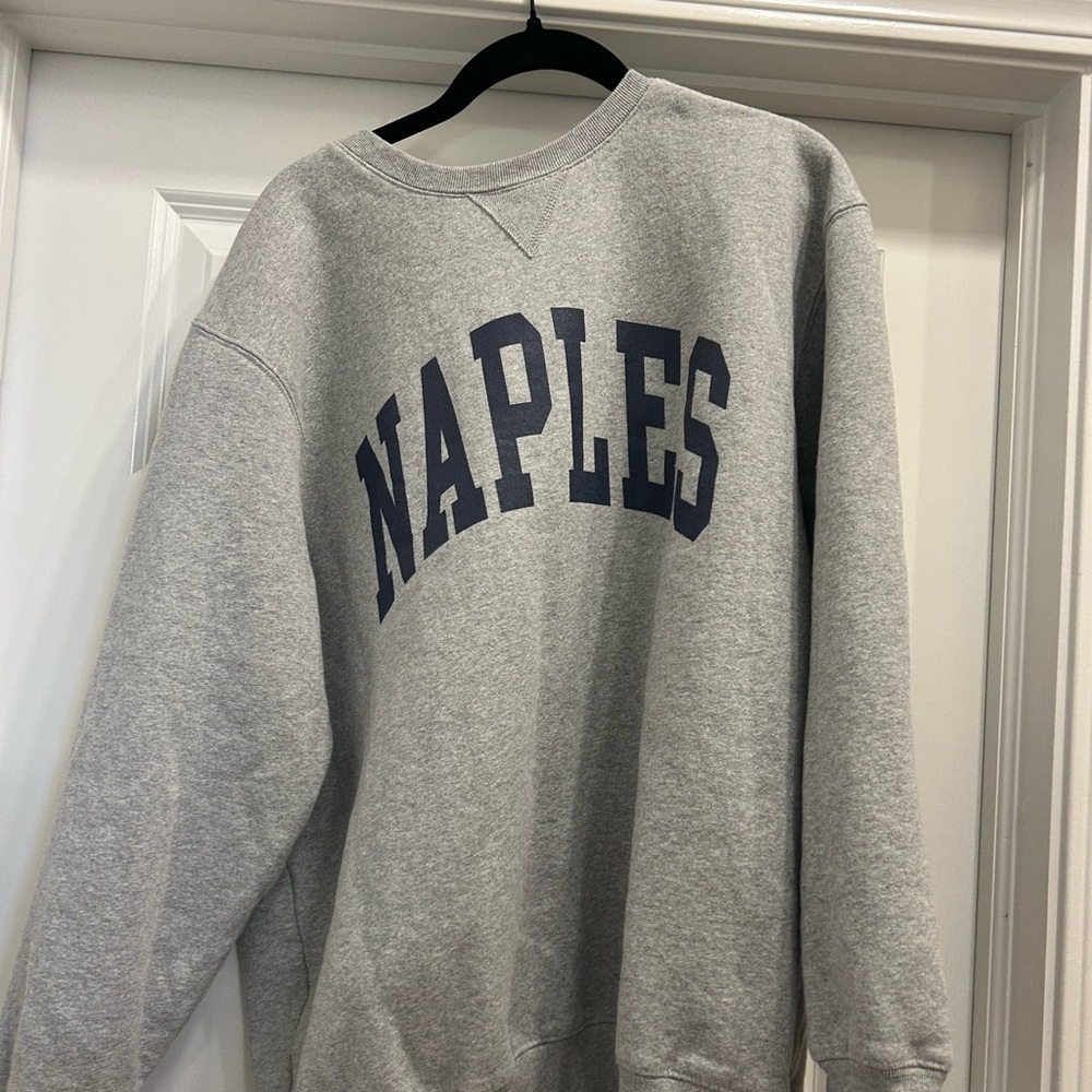 Brandy Melville Gray Naples Sweatshirt